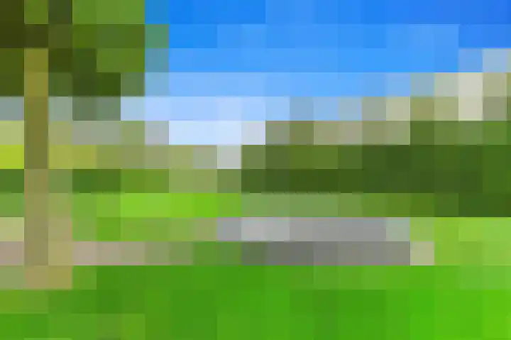Oostbuurtseweg 3 De Lier thumbnail 33