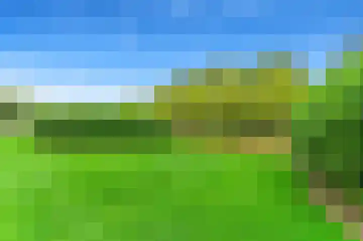 Oostbuurtseweg 3 De Lier thumbnail 34
