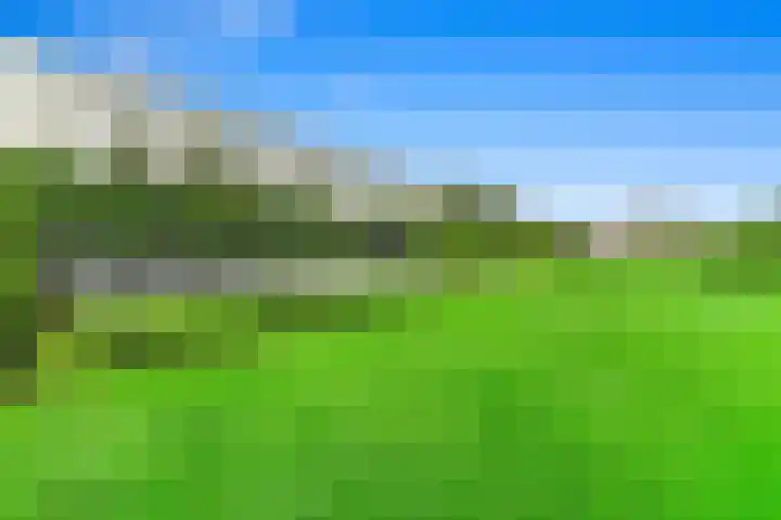 Oostbuurtseweg 3 De Lier thumbnail 39