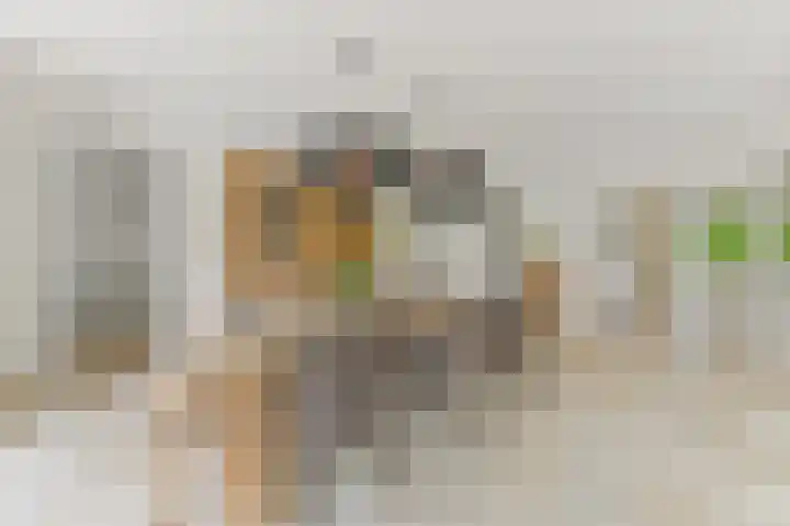 Oostbuurtseweg 3 De Lier thumbnail 46