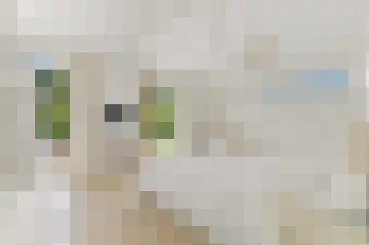 Oostbuurtseweg 3 De Lier thumbnail 49