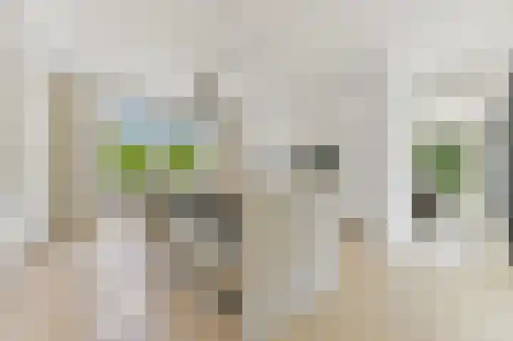 Oostbuurtseweg 3 De Lier thumbnail 5