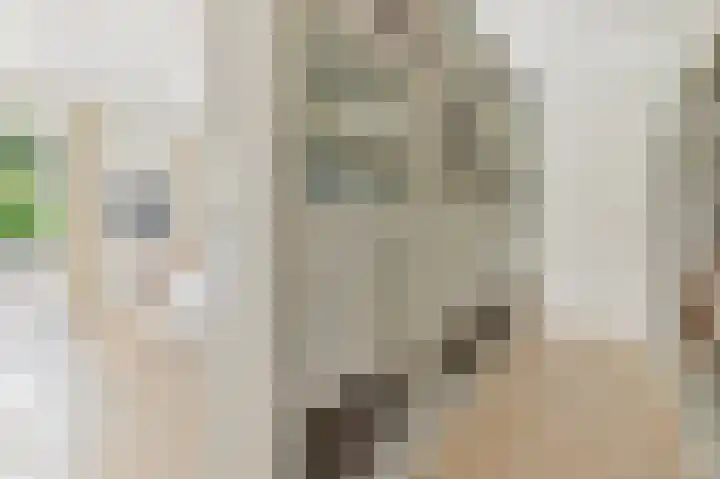 Oostbuurtseweg 3 De Lier thumbnail 50
