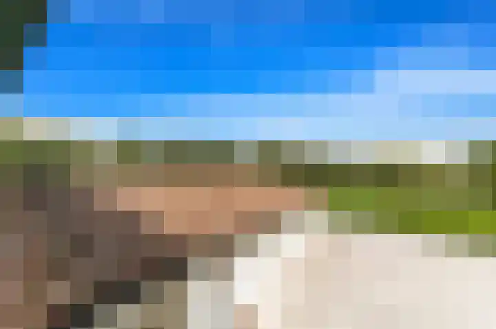 Oostbuurtseweg 3 De Lier thumbnail 84