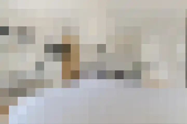 Oostbuurtseweg 3 De Lier thumbnail 85
