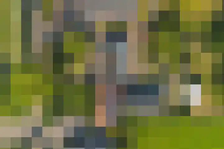 Oostbuurtseweg 42 De Lier thumbnail 100
