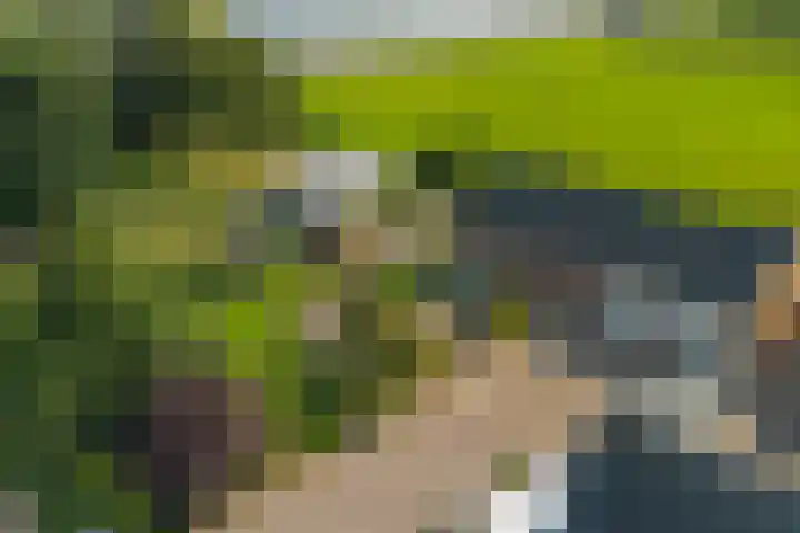 Oostbuurtseweg 42 De Lier thumbnail 101