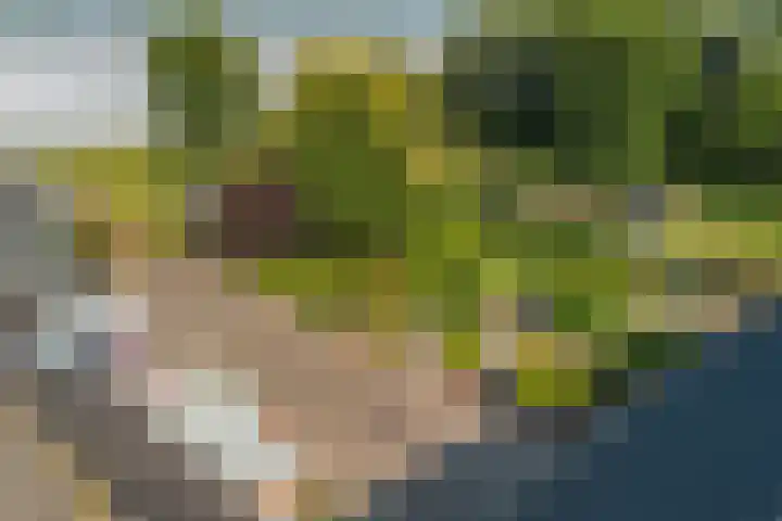 Oostbuurtseweg 42 De Lier thumbnail 102