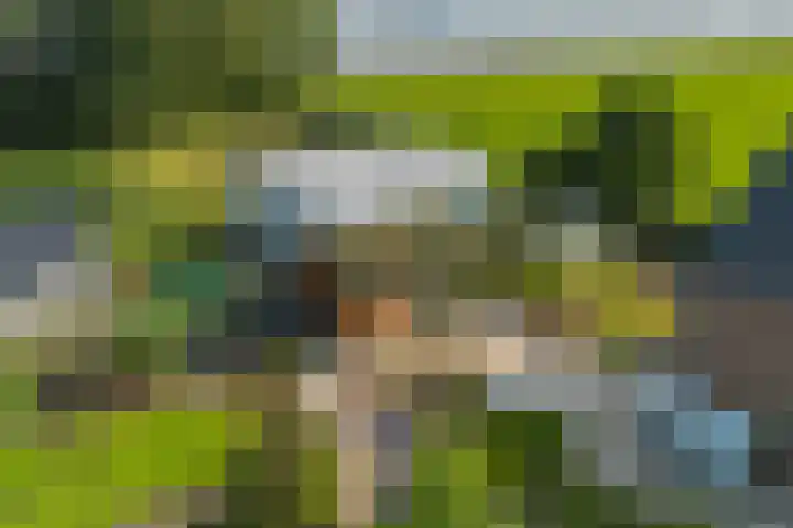 Oostbuurtseweg 42 De Lier thumbnail 103