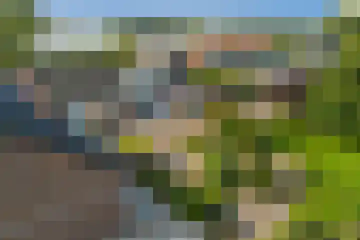 Oostbuurtseweg 42 De Lier thumbnail 104