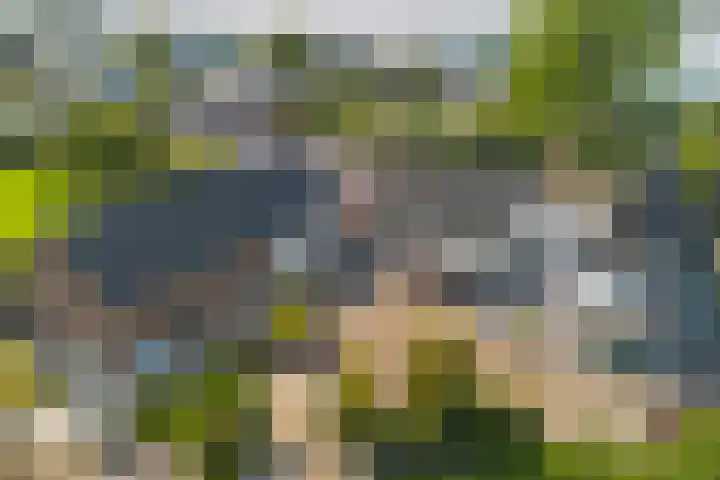 Oostbuurtseweg 42 De Lier thumbnail 105