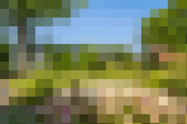 Oostbuurtseweg 42 De Lier thumbnail 15