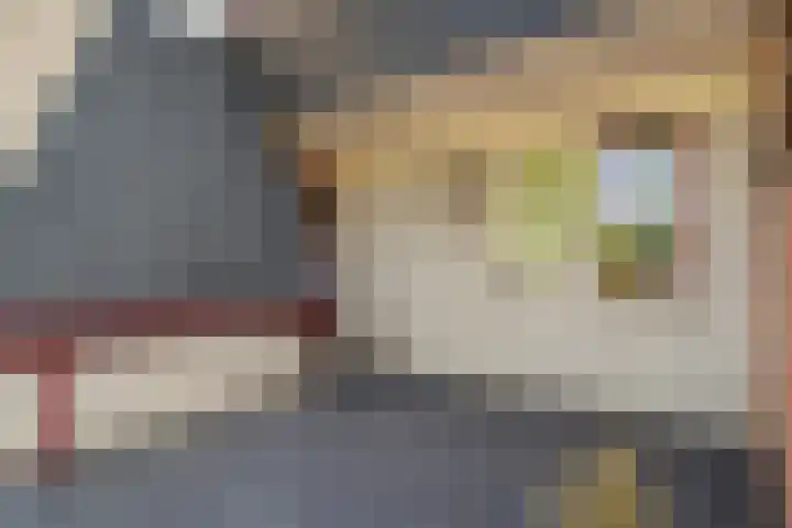 Oostbuurtseweg 42 De Lier thumbnail 16