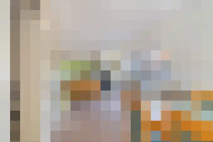 Oostbuurtseweg 42 De Lier thumbnail 26