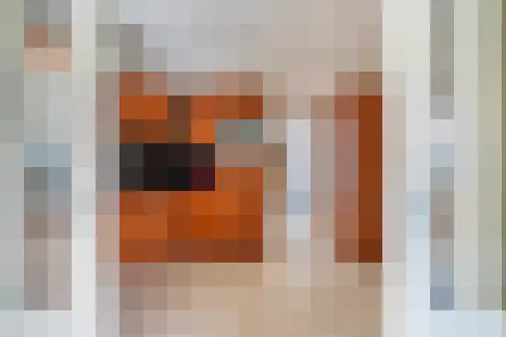 Oostbuurtseweg 42 De Lier thumbnail 30