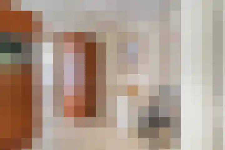 Oostbuurtseweg 42 De Lier thumbnail 33