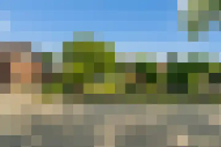 Oostbuurtseweg 42 De Lier thumbnail 6