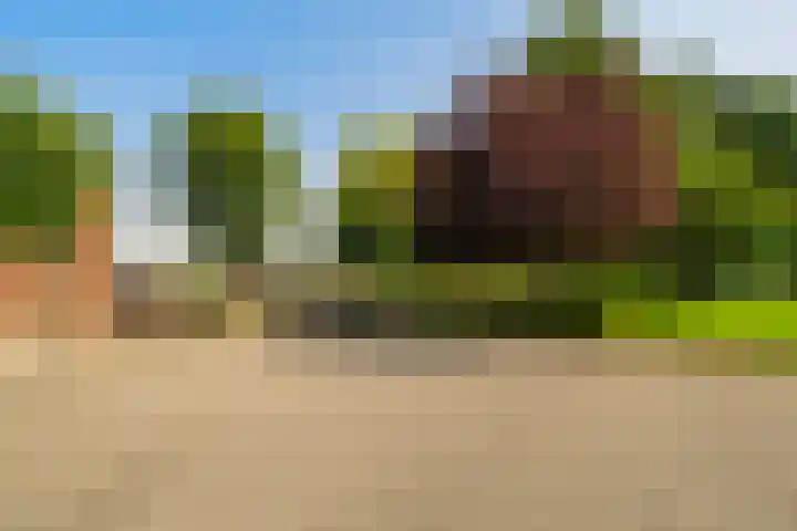 Oostbuurtseweg 42 De Lier thumbnail 68