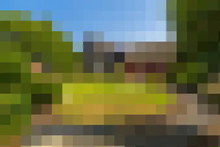 Oostbuurtseweg 42 De Lier thumbnail 7