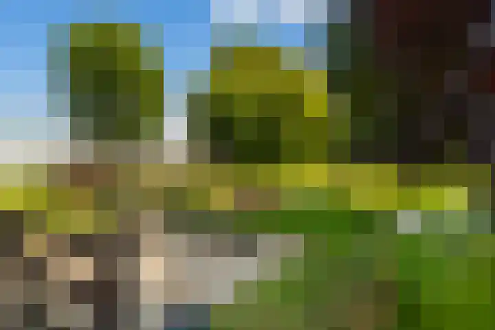 Oostbuurtseweg 42 De Lier thumbnail 70
