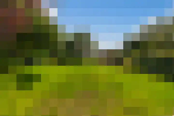 Oostbuurtseweg 42 De Lier thumbnail 71