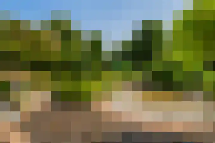 Oostbuurtseweg 42 De Lier thumbnail 72