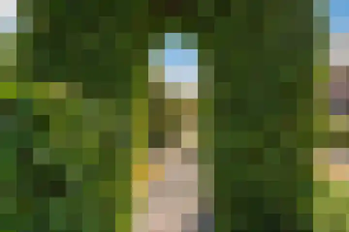 Oostbuurtseweg 42 De Lier thumbnail 73