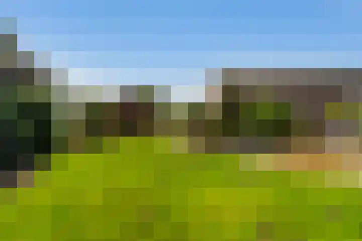 Oostbuurtseweg 42 De Lier thumbnail 76