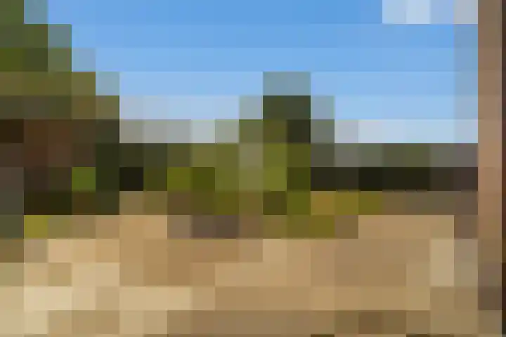 Oostbuurtseweg 42 De Lier thumbnail 78