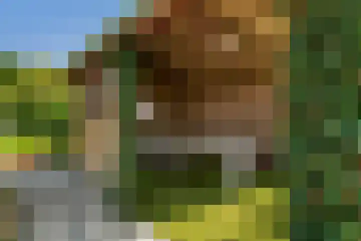 Oostbuurtseweg 42 De Lier thumbnail 79