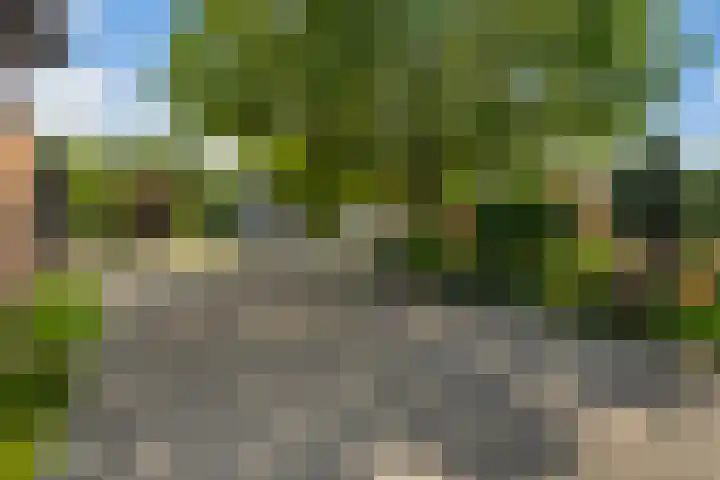 Oostbuurtseweg 42 De Lier thumbnail 8