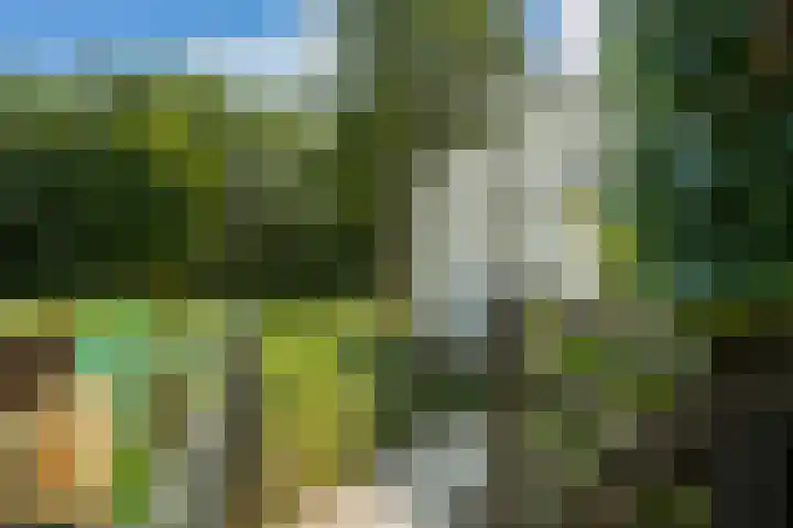 Oostbuurtseweg 42 De Lier thumbnail 81