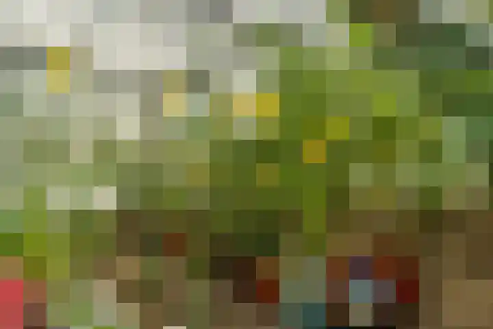 Oostbuurtseweg 42 De Lier thumbnail 82