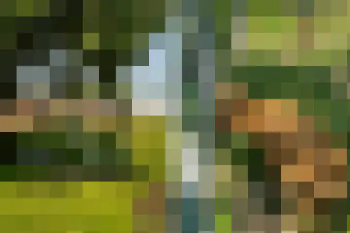 Oostbuurtseweg 42 De Lier thumbnail 84