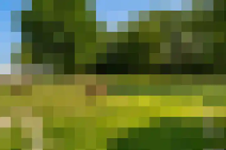 Oostbuurtseweg 42 De Lier thumbnail 85