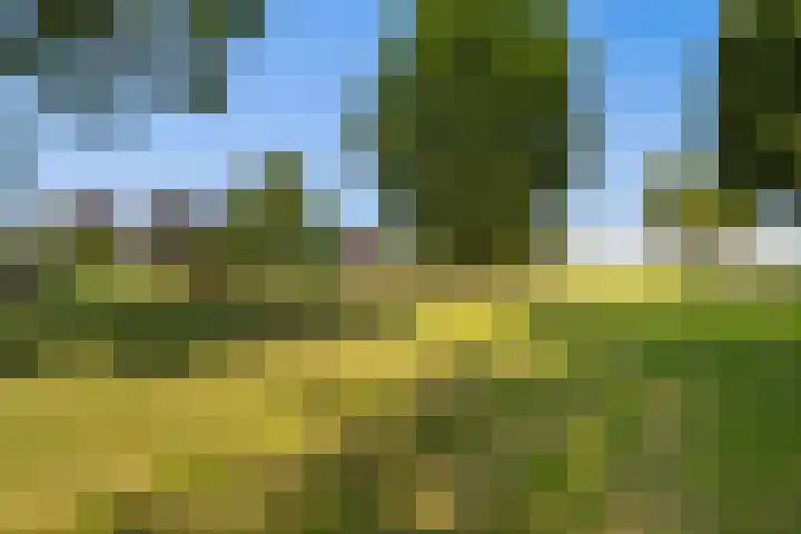 Oostbuurtseweg 42 De Lier thumbnail 86
