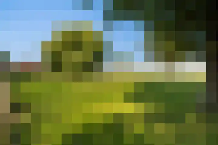 Oostbuurtseweg 42 De Lier thumbnail 87