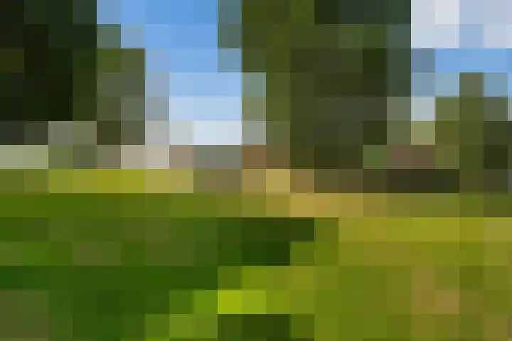 Oostbuurtseweg 42 De Lier thumbnail 88