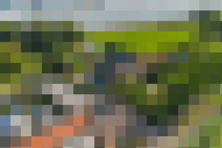 Oostbuurtseweg 42 De Lier thumbnail 95