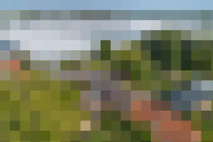 Oostbuurtseweg 42 De Lier thumbnail 96