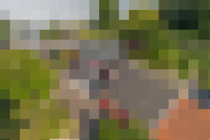 Oostbuurtseweg 42 De Lier thumbnail 97