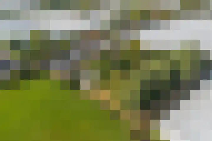 Oostbuurtseweg 42 De Lier thumbnail 99