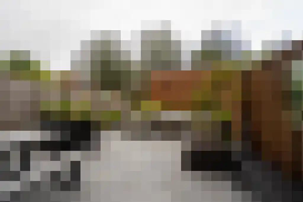 Oostdaallaan 13 Wassenaar thumbnail 11
