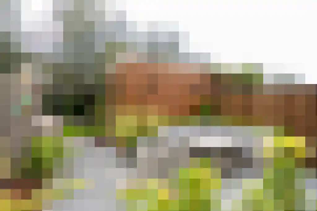 Oostdaallaan 13 Wassenaar thumbnail 12