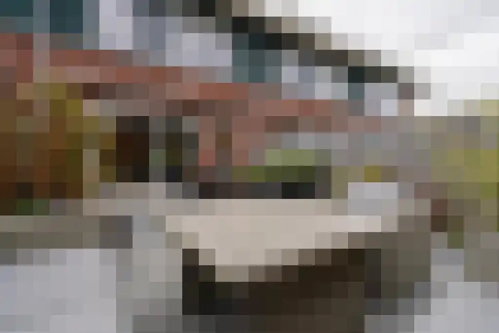 Oostdaallaan 13 Wassenaar thumbnail 13