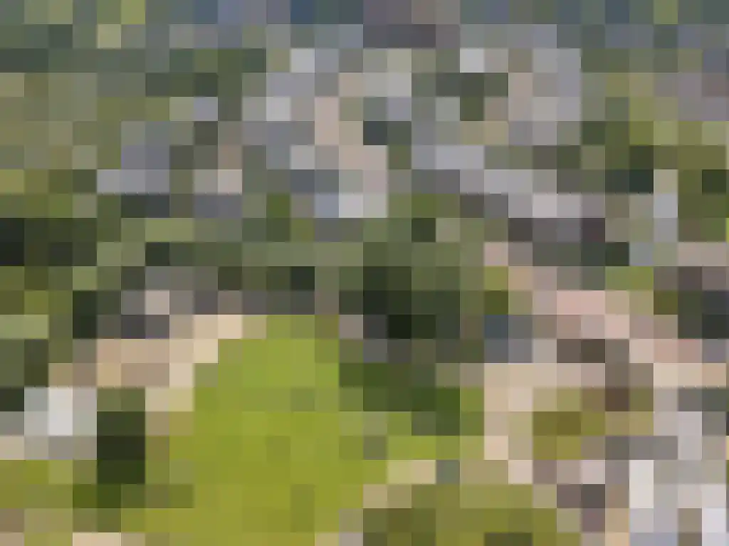 Oostdaallaan 13 Wassenaar thumbnail 27