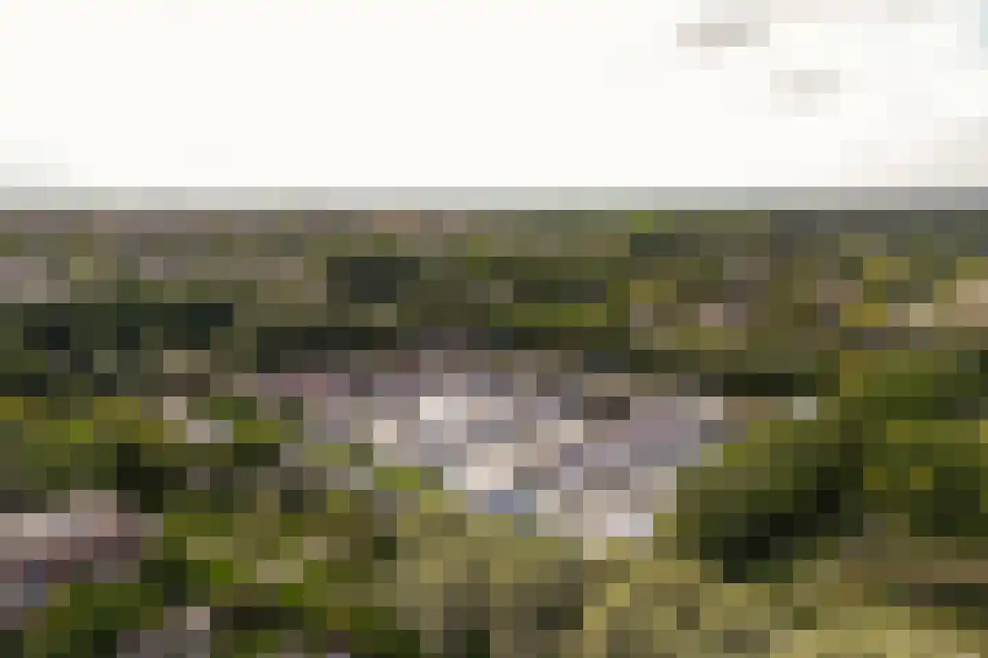 Oostdaallaan 13 Wassenaar thumbnail 35