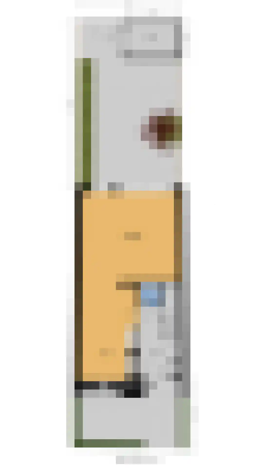 Oostdaallaan 13 Wassenaar thumbnail 36