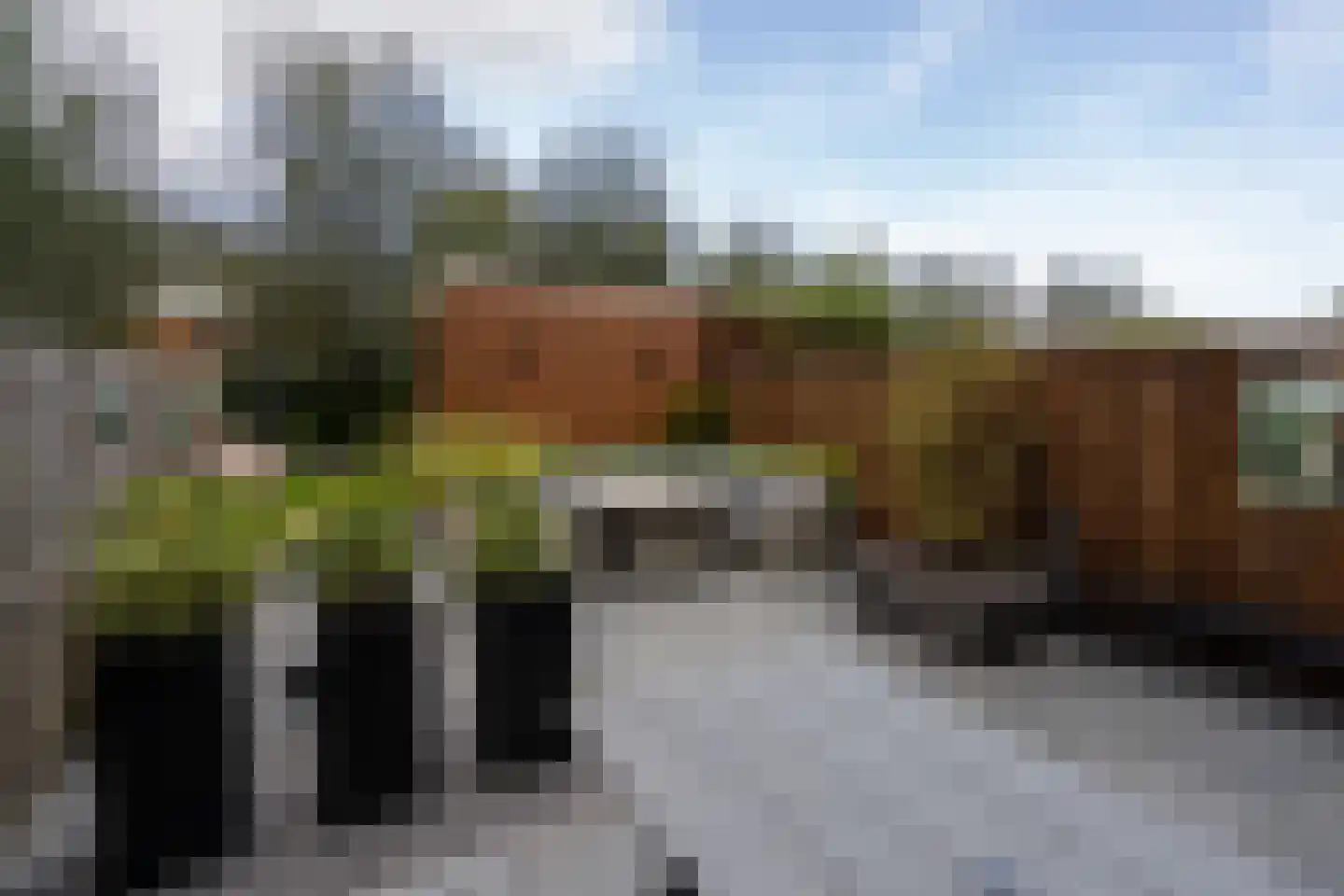 Oostdaallaan 13 Wassenaar thumbnail 4