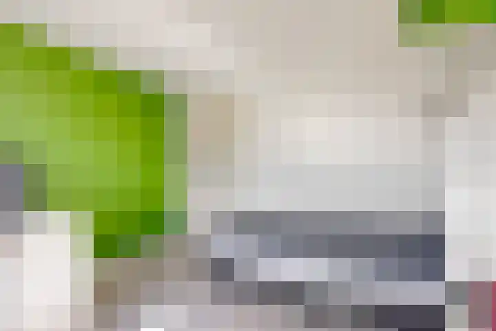 Oostdaallaan 22 Wassenaar thumbnail 21